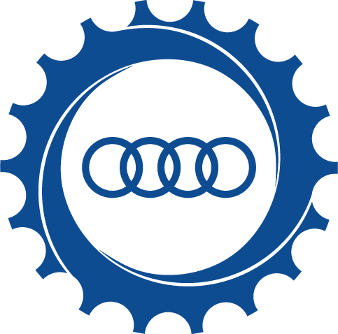 AUDI automotive filter set (oil, air, cabin, fuel) for AUDI vehicle maintenance - AutoPartsBasket